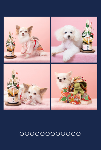年賀状　角４　ネイビーブルー