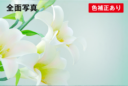 全面写真横(喪中)