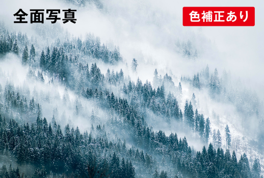全面写真横(寒中見舞い)