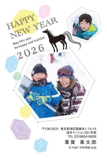 gfp20260095