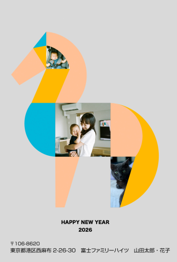 EG041_iro_3