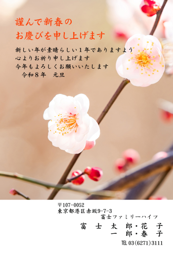BO-068