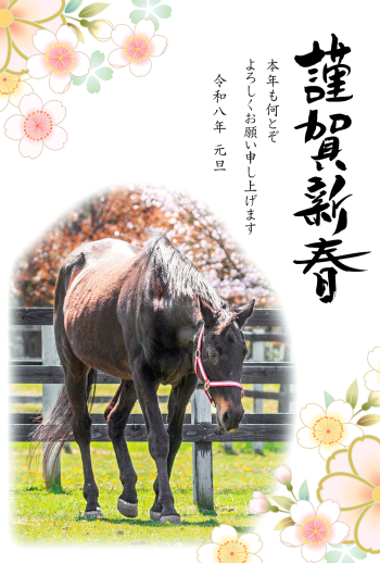 26S_A05_AK01