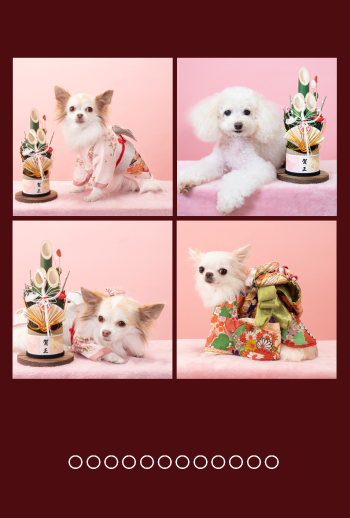 年賀状　角４　ワインレッド