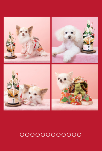 年賀状　角４　ディープレッド