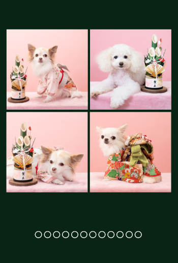 年賀状　角４　モスグリーン
